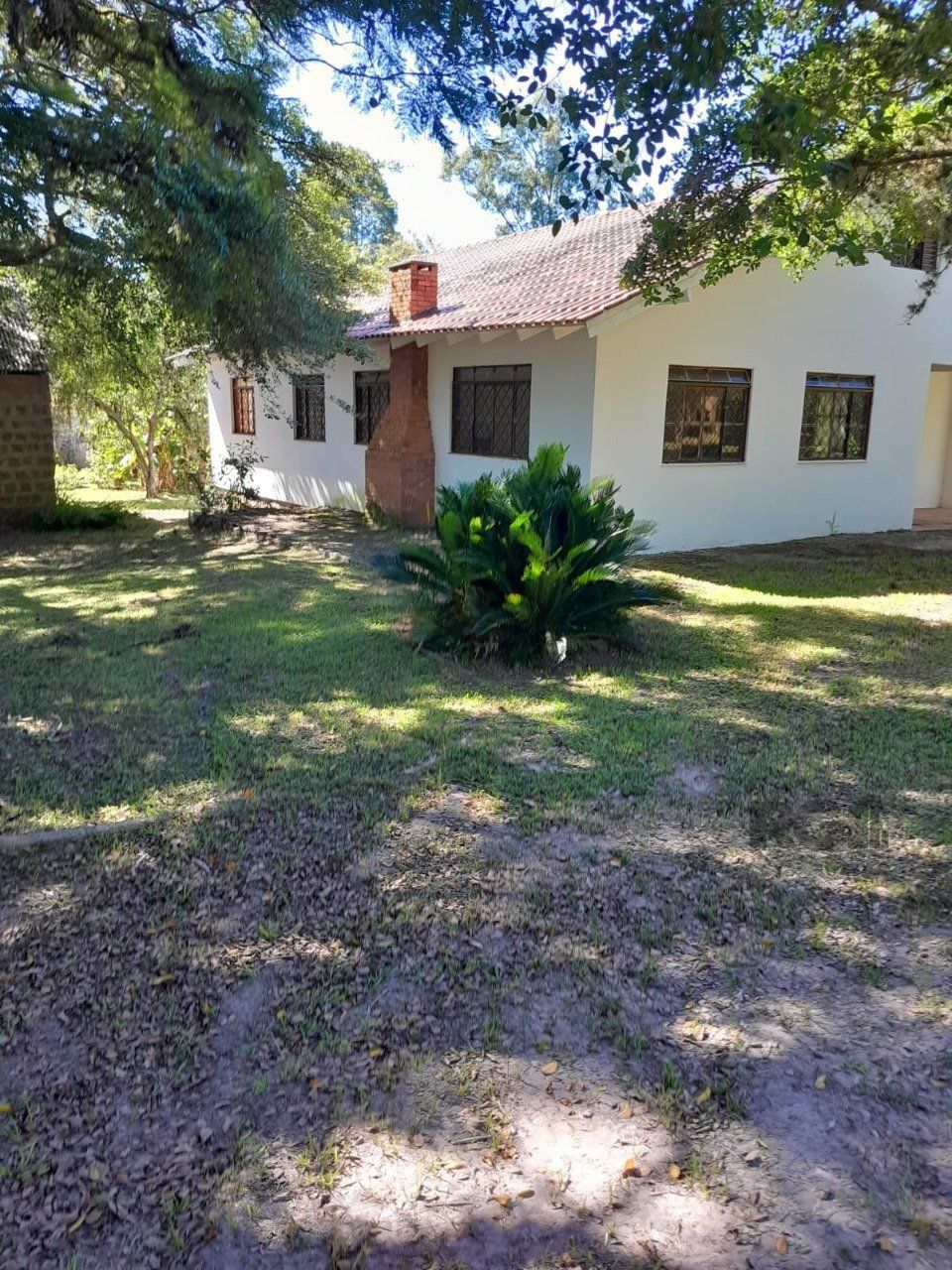 Sítio, 3 quartos, 6 hectares - Foto 5