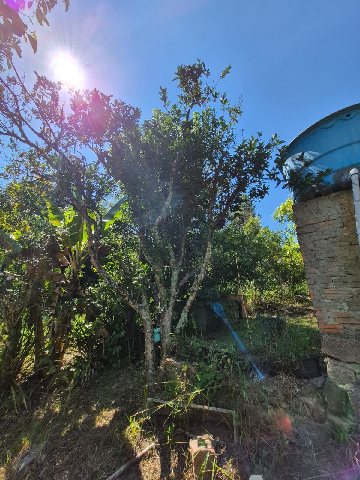 Sítio, 3 quartos, 3000 m² - Foto 25