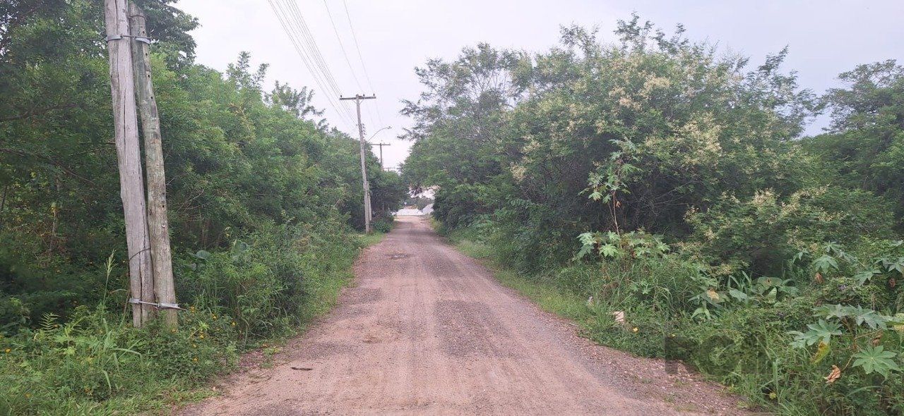 Terreno, 2000 m² - Foto 19