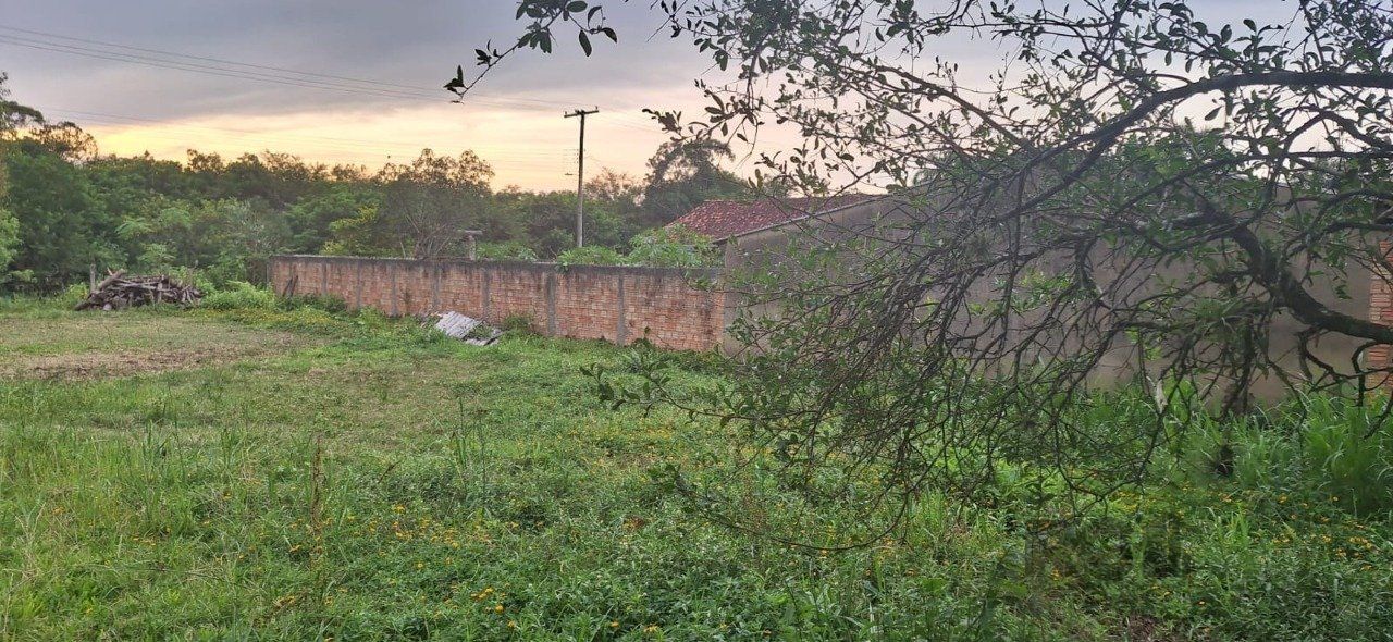 Terreno, 2000 m² - Foto 6