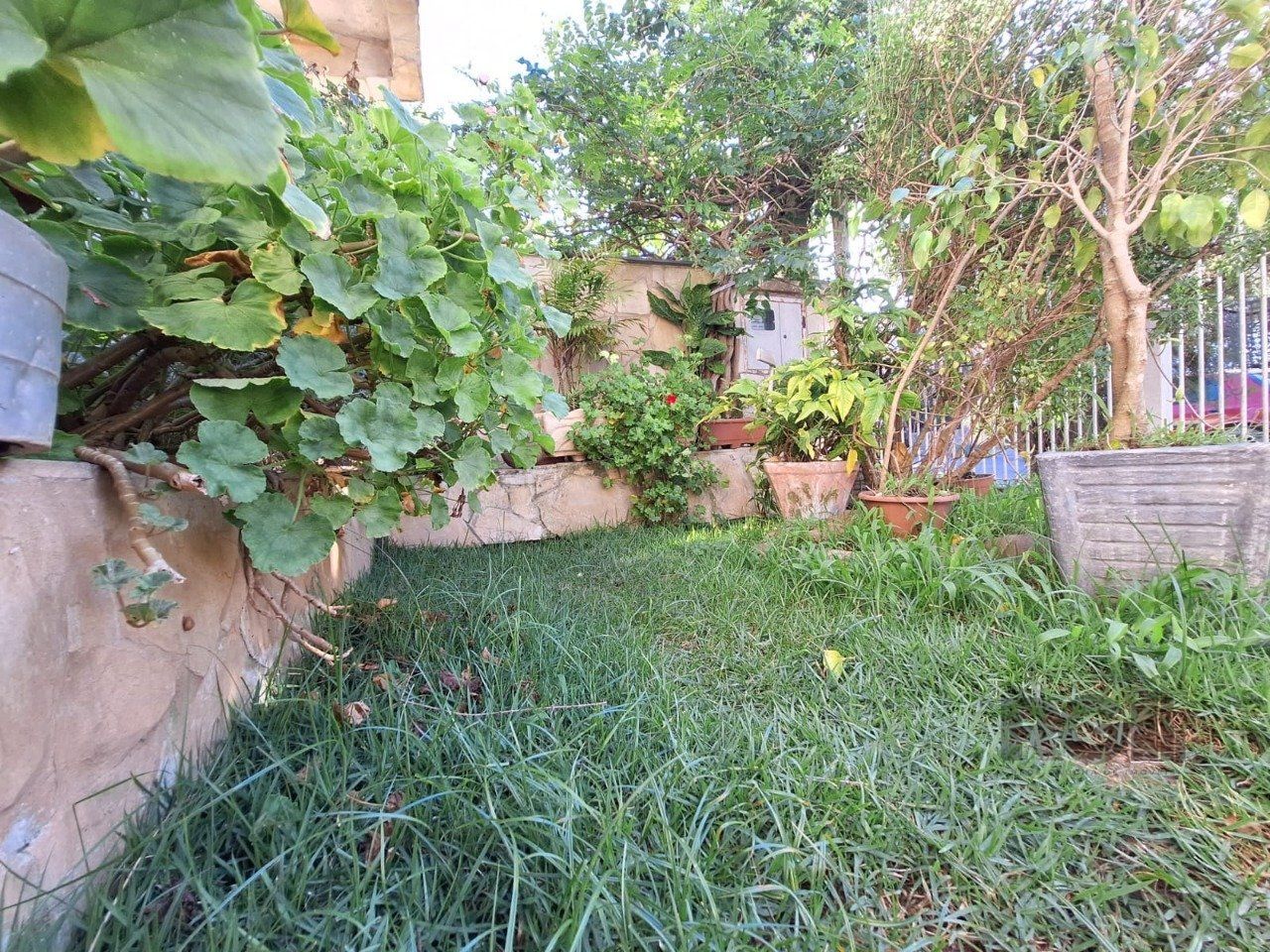 Casa, 3 quartos, 200 m² - Foto 47