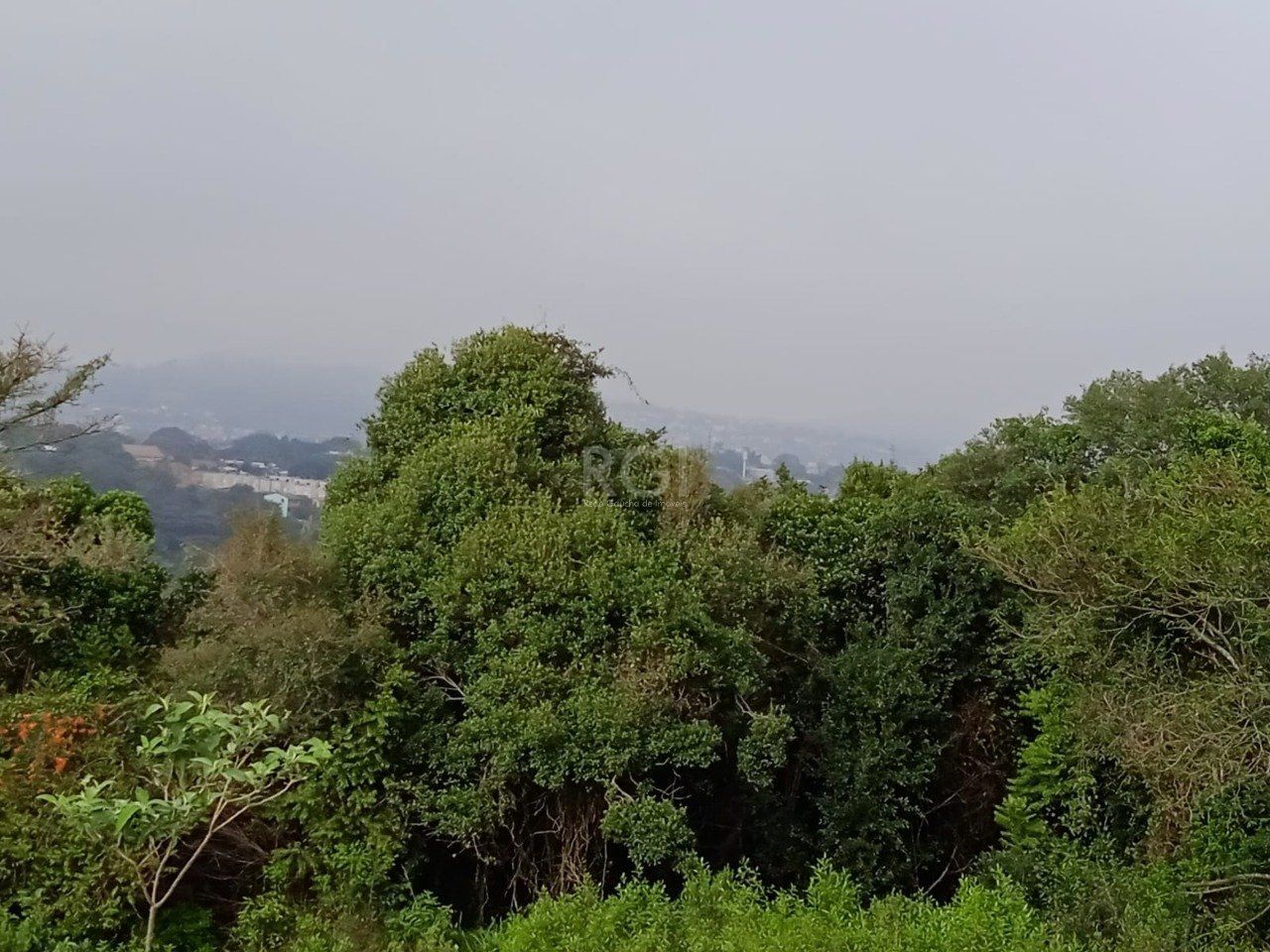 Terreno, 4950 m² - Foto 3