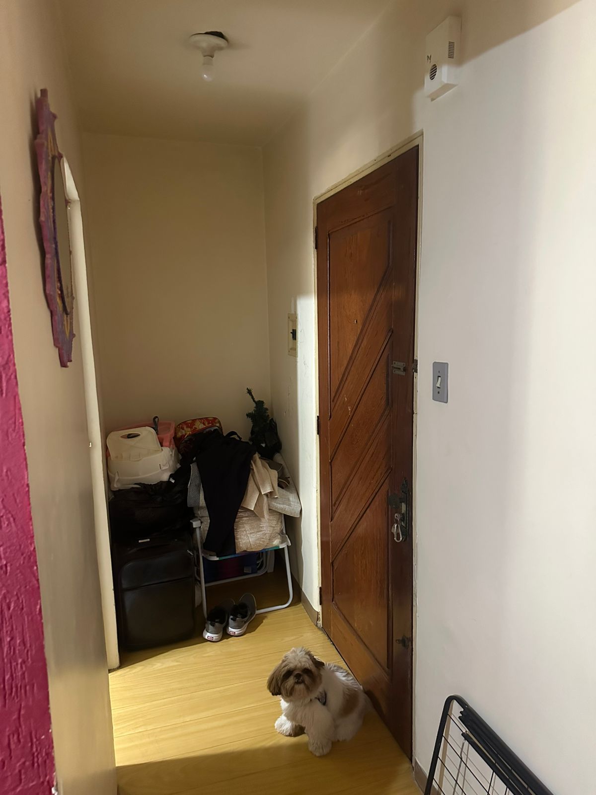 Apartamento à venda com 2 quartos, 58m² - Foto 4