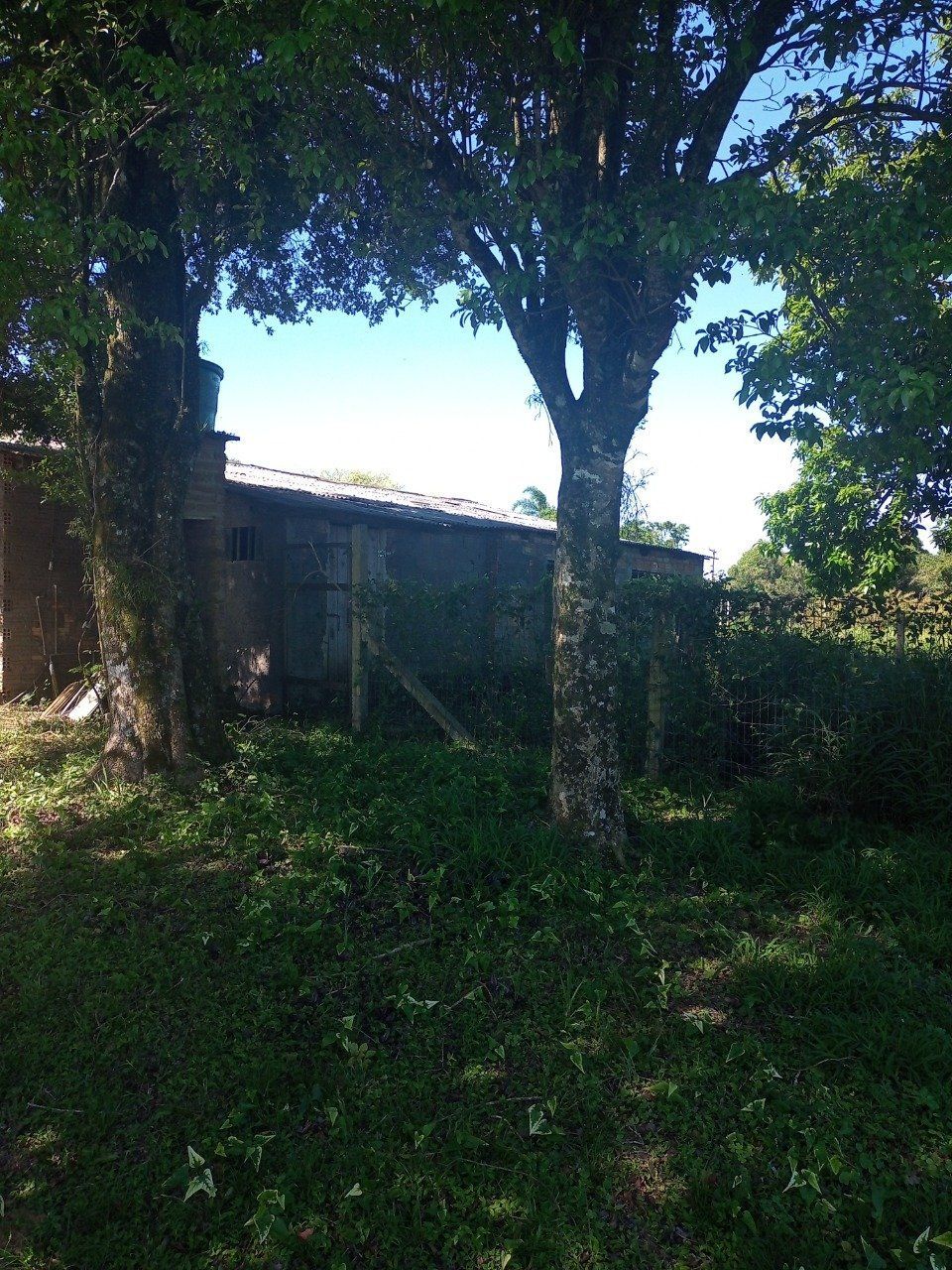 Sítio à venda com 2 quartos, 20010m² - Foto 45