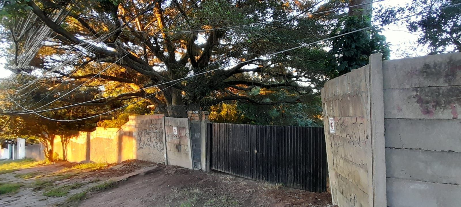 Terreno, à venda, Nonoai - Porto Alegre — foto 3