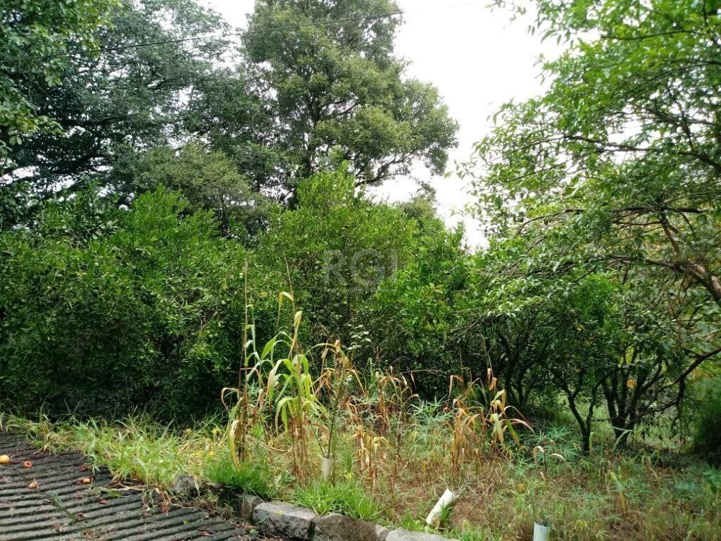 Sítio à venda com 3 quartos, 300m² - Foto 23
