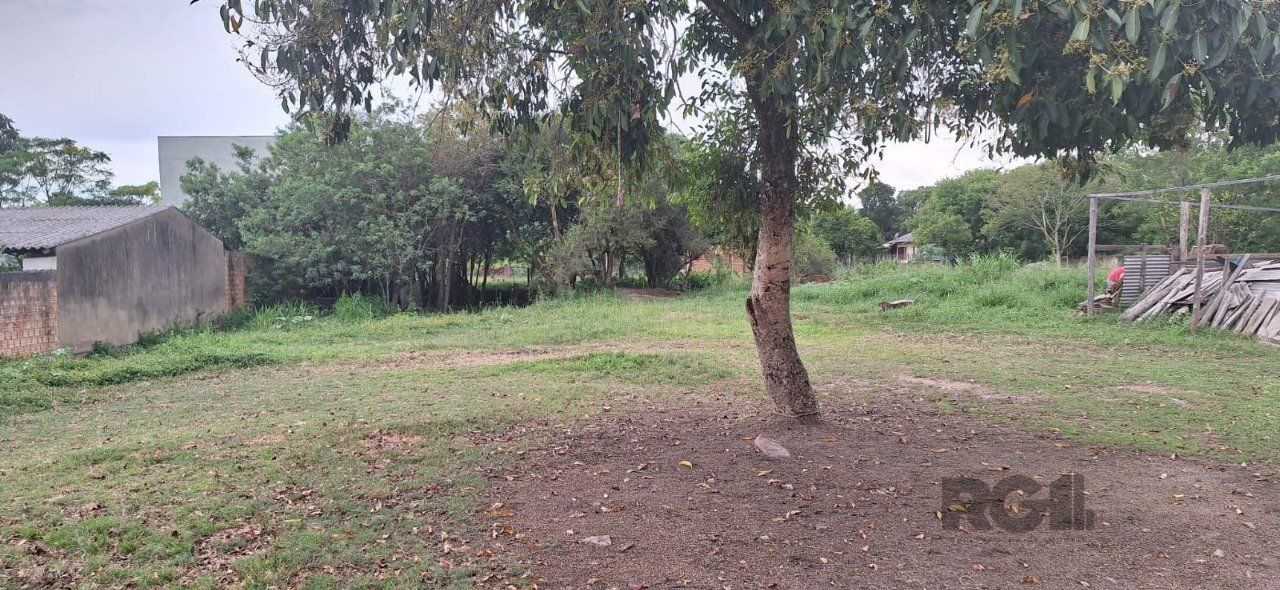 Terreno, 2000 m² - Foto 4