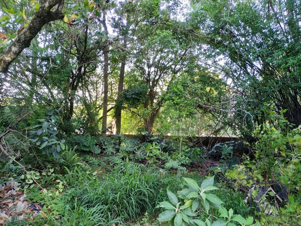 Casa, 3 quartos, 318 m² - Foto 38