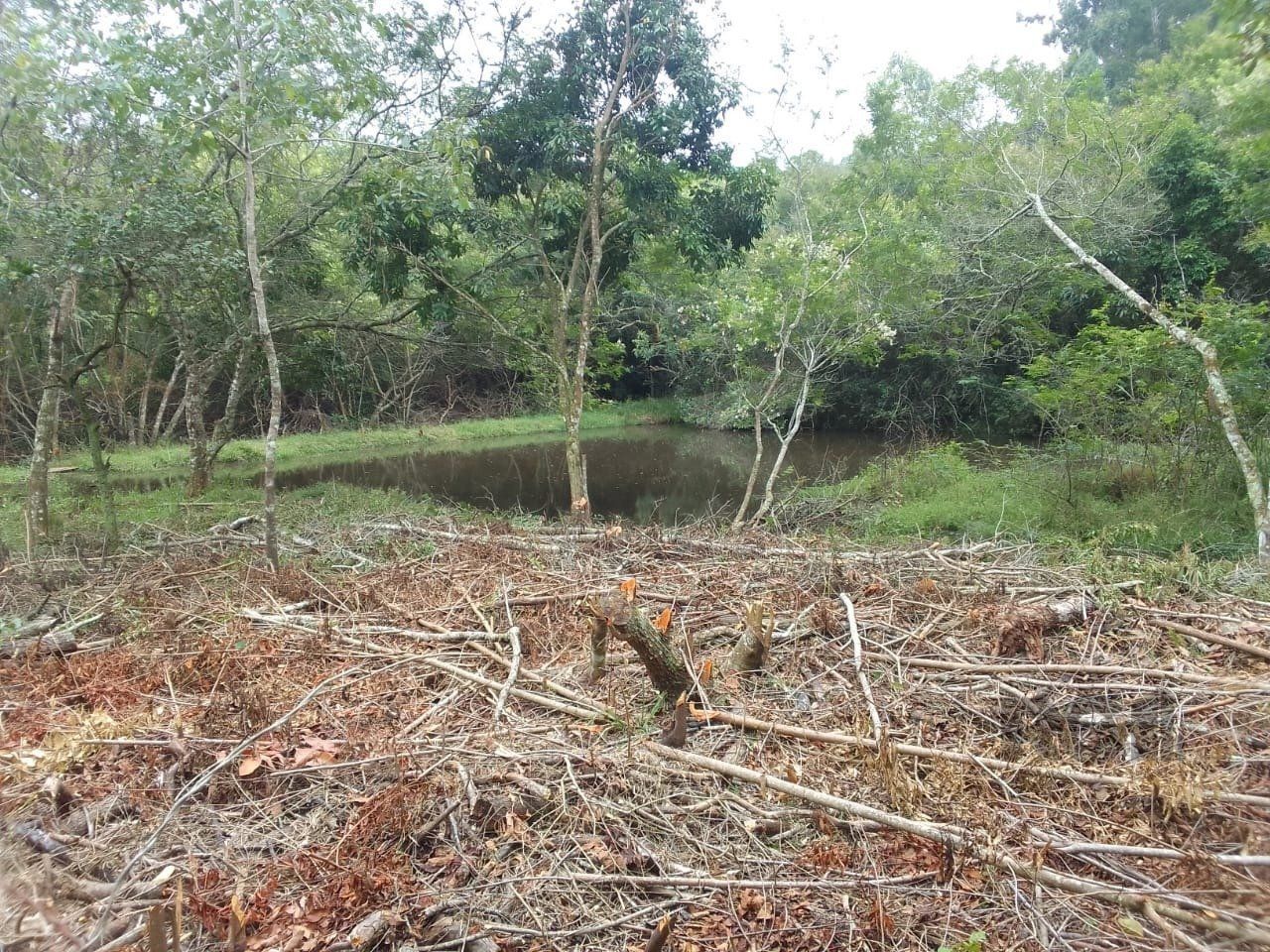 Sítio, 3 quartos, 6 hectares - Foto 38