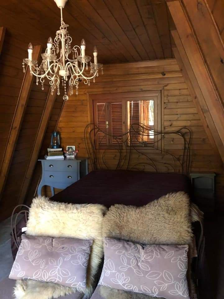 Sítio à venda com 1 quarto, 15000m² - Foto 19