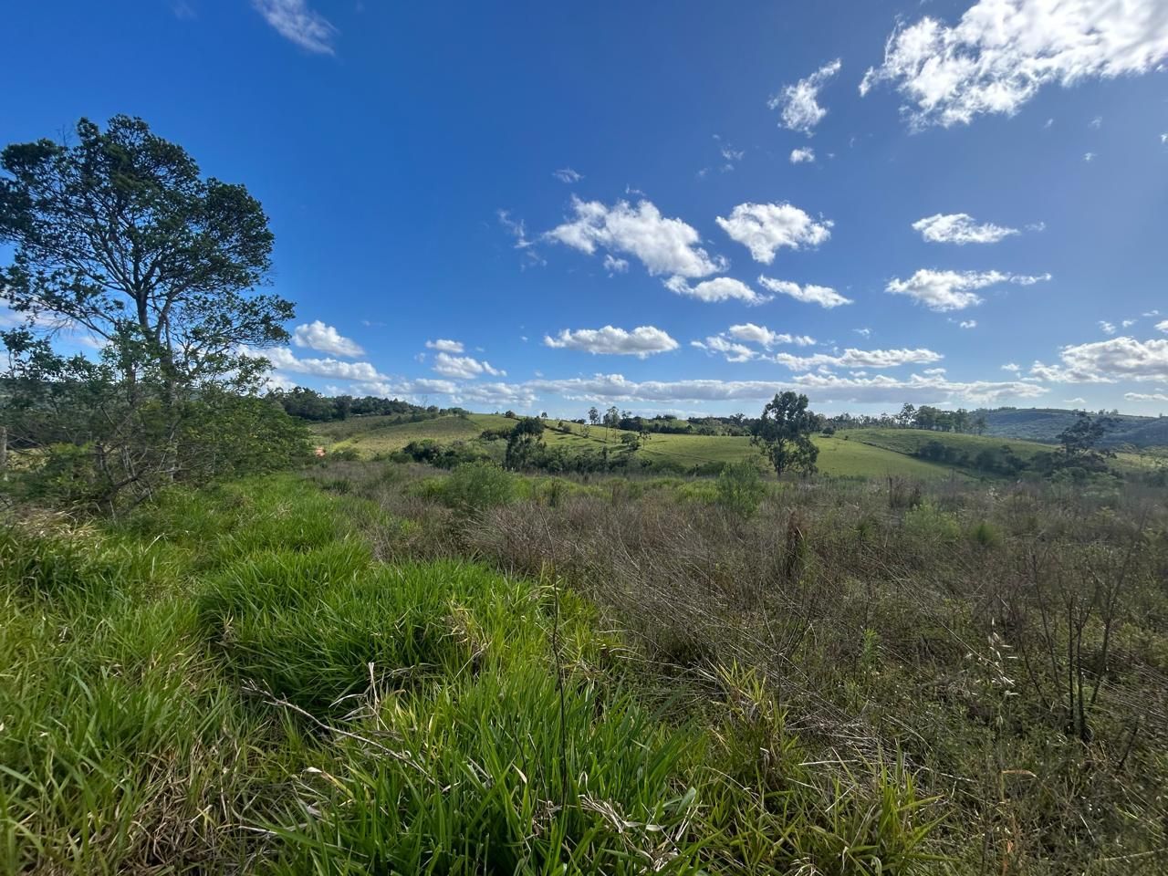 Terreno, 29 hectares - Foto 11