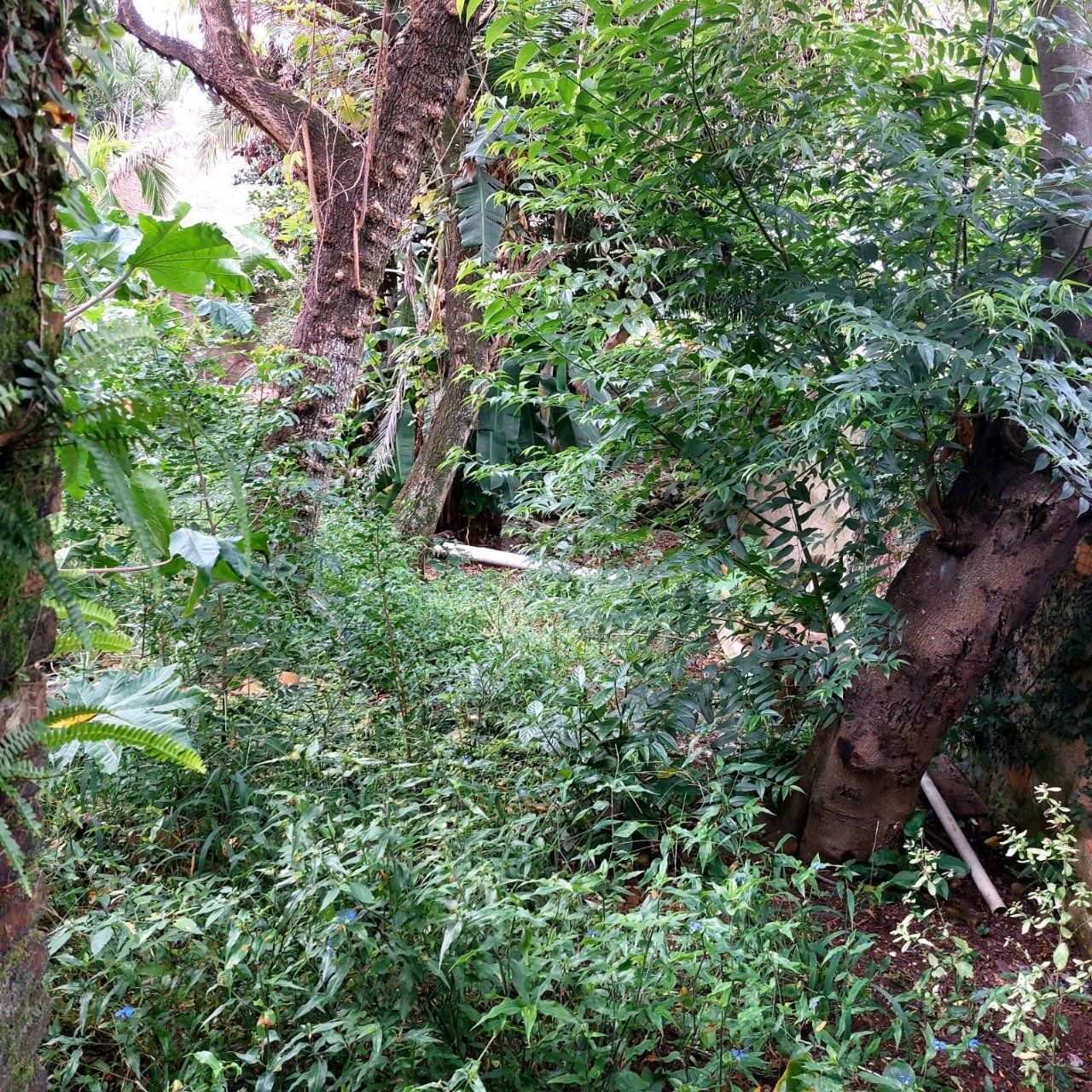Terreno à venda, 485m² - Foto 28