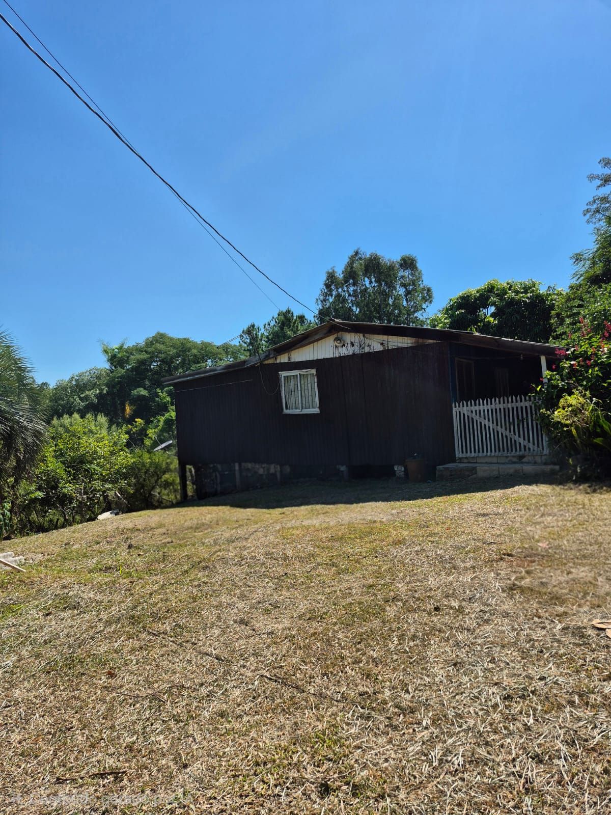 Sítio, 3 quartos, 3000 m² - Foto 15