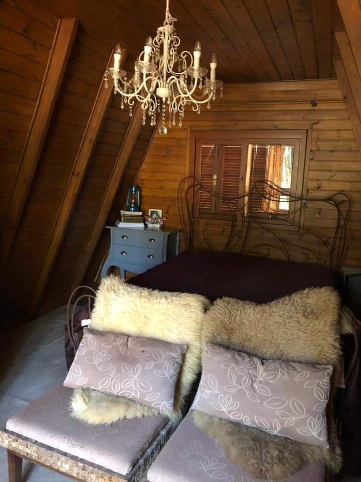 Sítio à venda com 1 quarto, 15000m² - Foto 18
