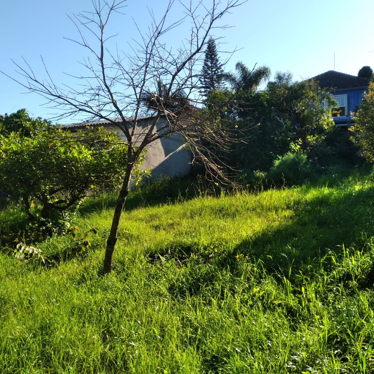 Terreno à venda, 825m² - Foto 12