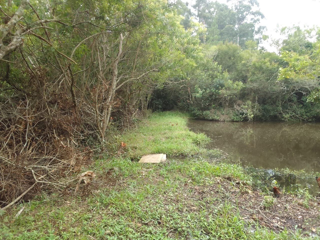 Sítio, 3 quartos, 6 hectares - Foto 36