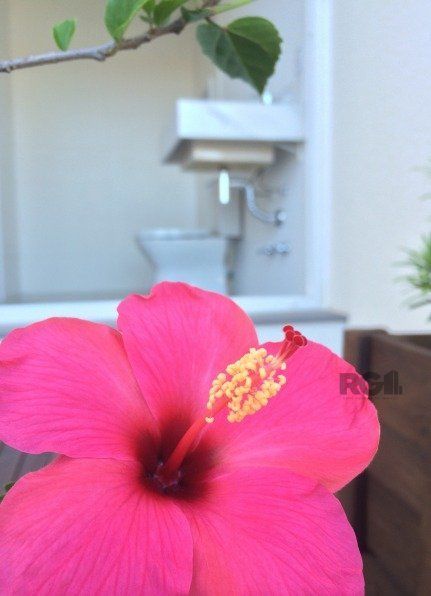 Casa, 3 quartos, 260 m² - Foto 11