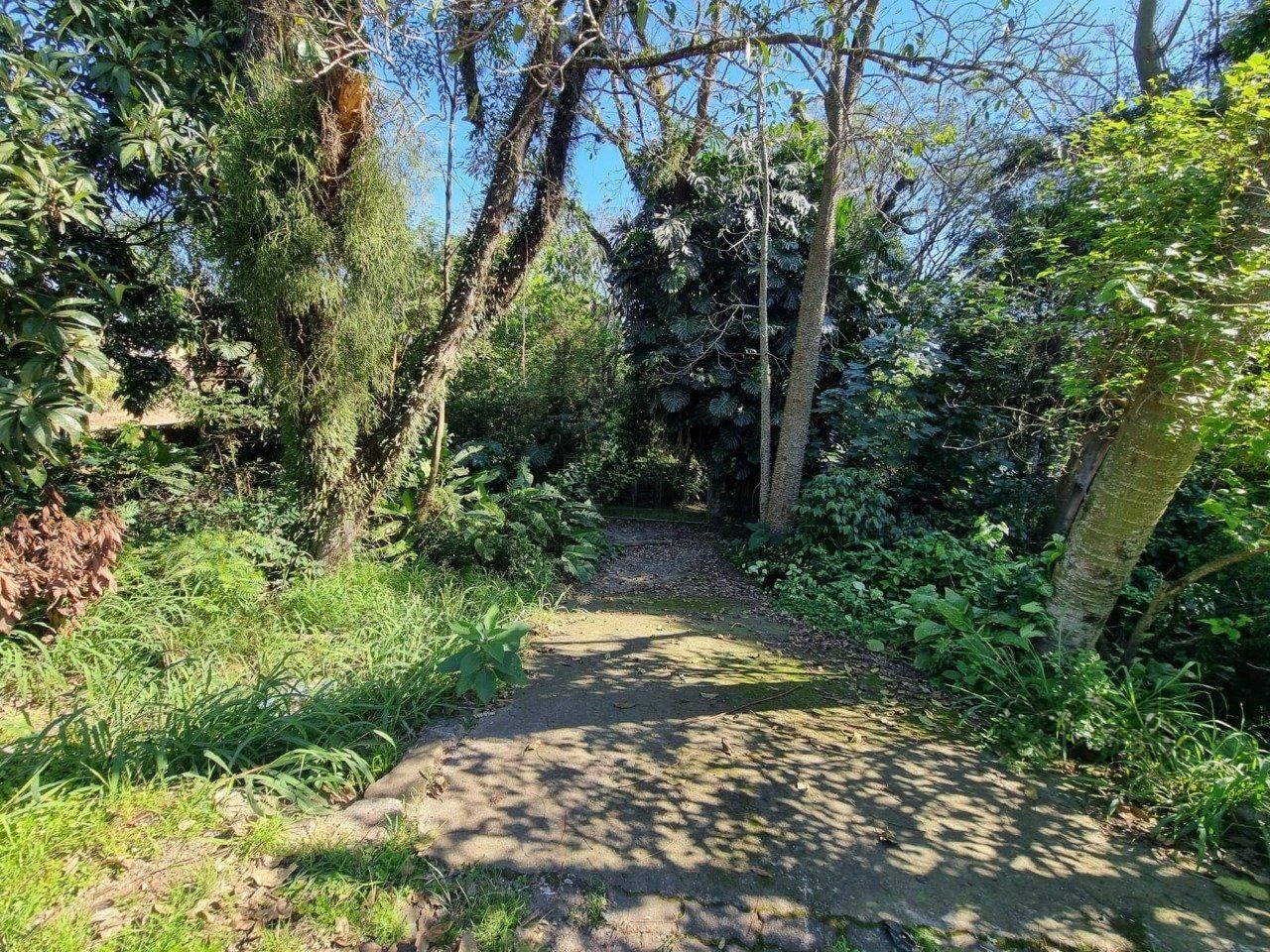 Terreno, 2500 m² - Foto 2