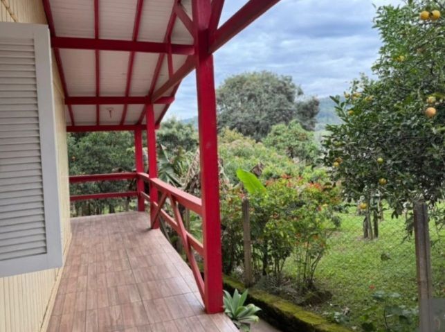Chácara, 2 quartos, 2 hectares - Foto 4