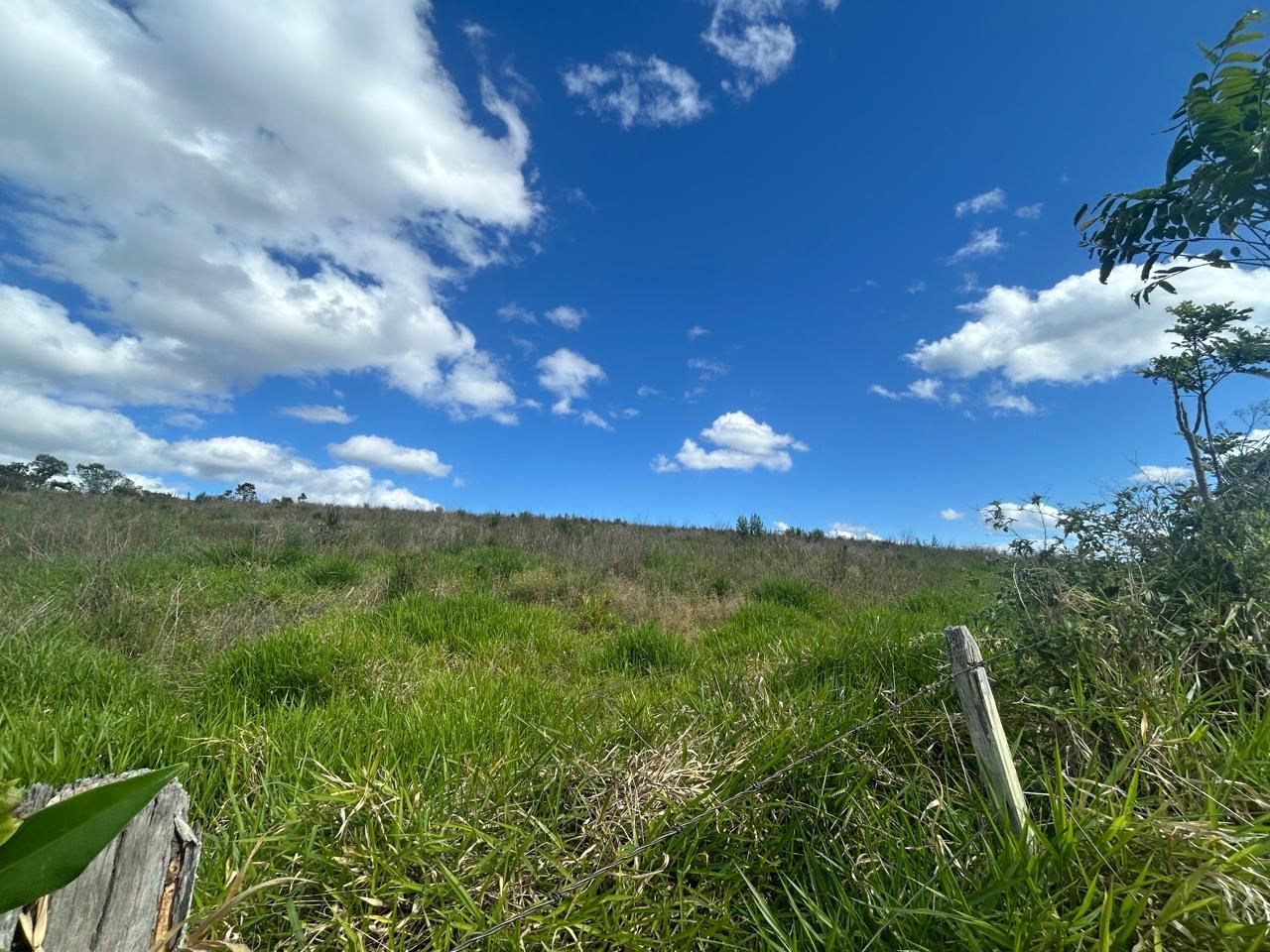 Terreno, 29 hectares - Foto 7