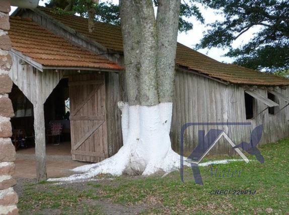 Sítio à venda com 3 quartos, 300m² - Foto 6