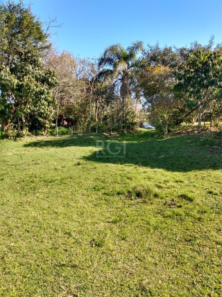 Terreno, 4 hectares - Foto 3