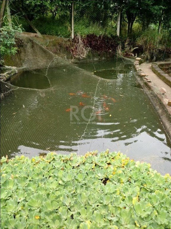 Sítio à venda com 3 quartos, 300m² - Foto 7