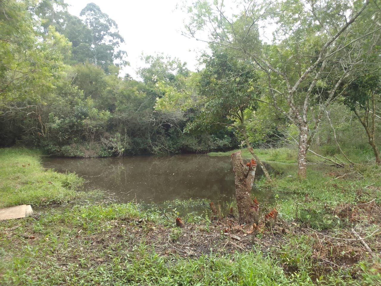 Sítio, 3 quartos, 6 hectares - Foto 37