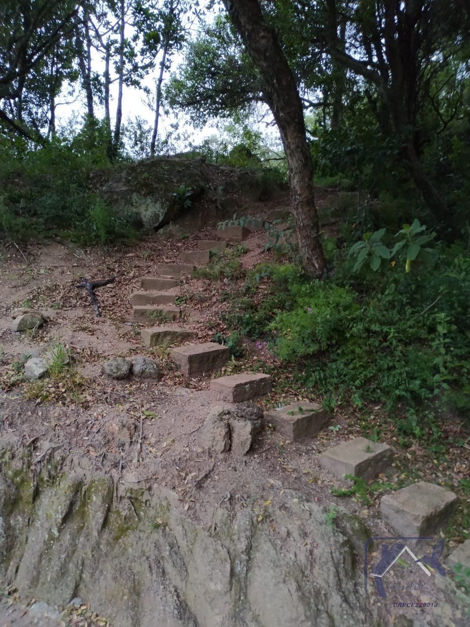 Casa, 5 quartos, 380 m² - Foto 48