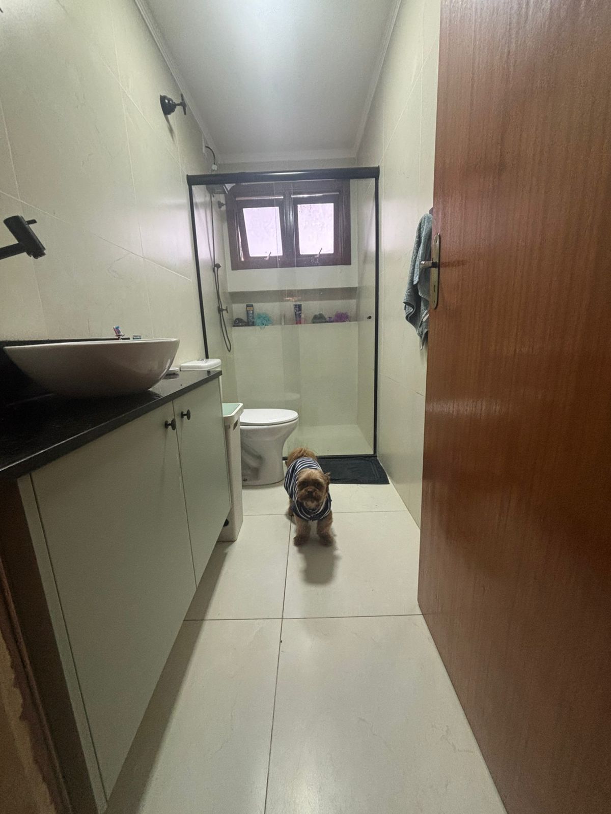 Casa, 3 quartos, 157 m² - Foto 6