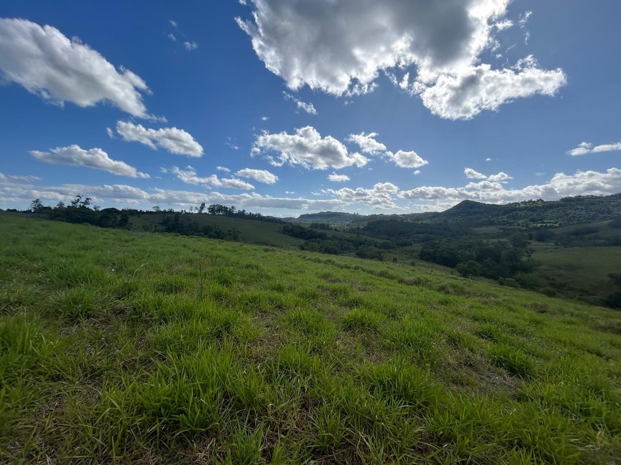 Terreno, 29 hectares - Foto 8