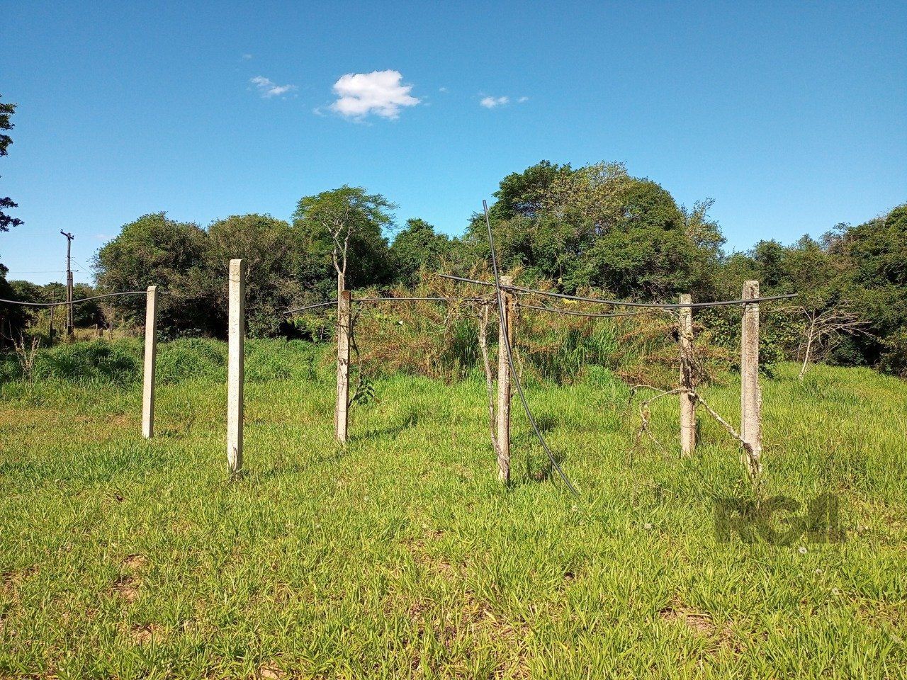 Sítio à venda com 2 quartos, 20010m² - Foto 60