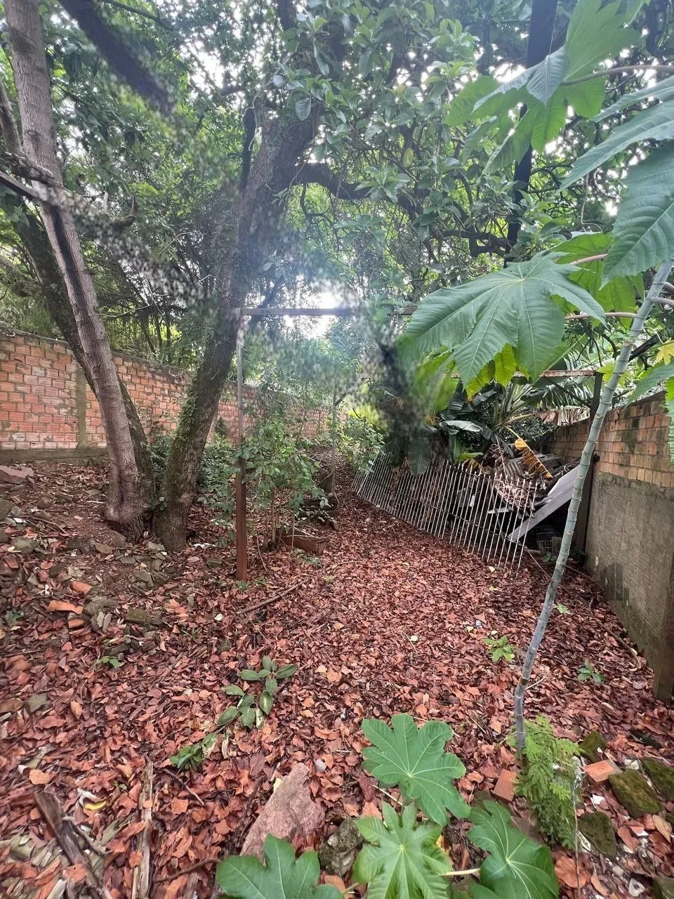 Terreno, 360 m² - Foto 17