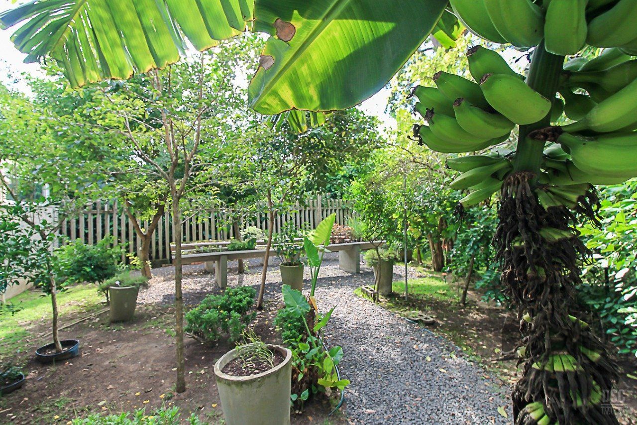Casa de Condomínio à venda com 3 quartos, 120m² - Foto 28