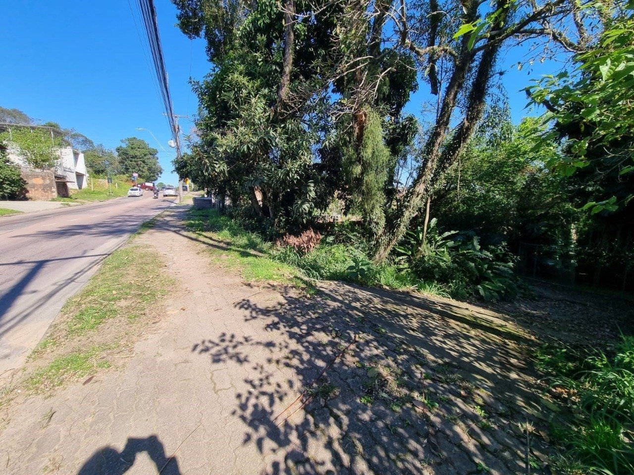 Terreno, 2500 m² - Foto 1