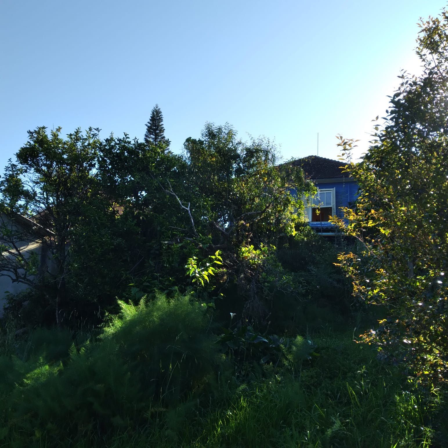 Terreno à venda, 825m² - Foto 6