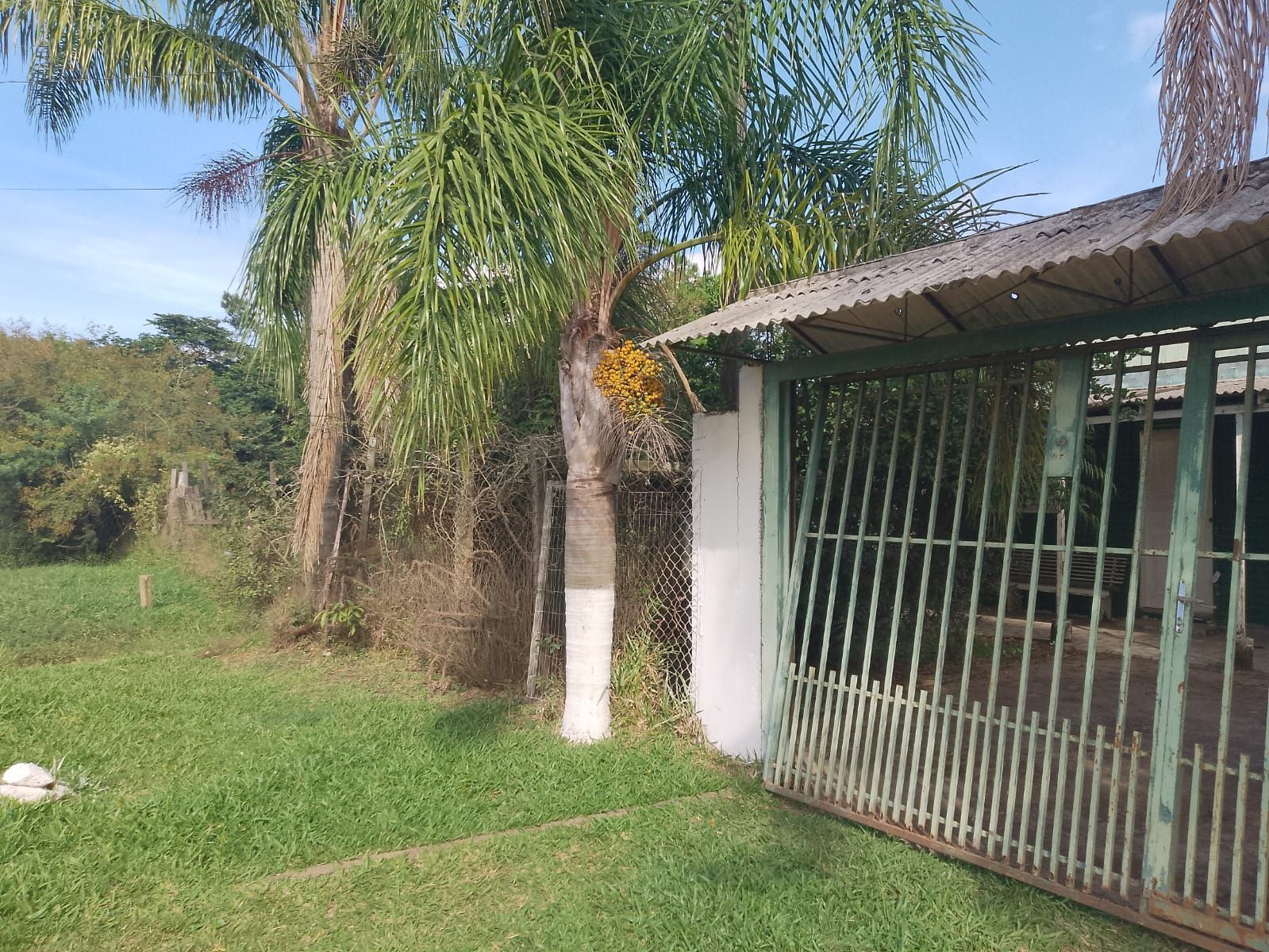 Chácara, 4 quartos, 1000 m² - Foto 57