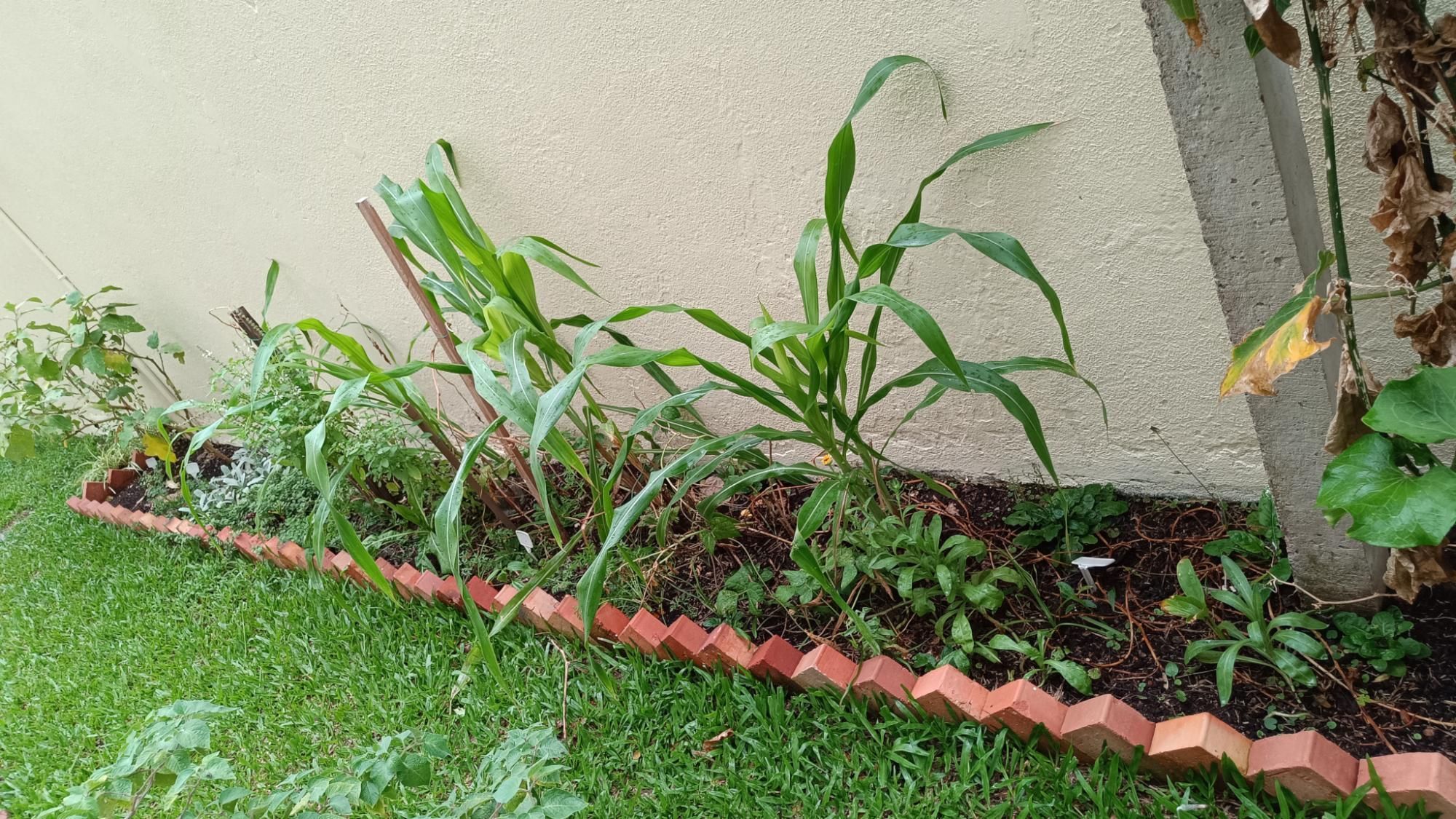 Apartamento, 3 quartos, 100 m² - Foto 55