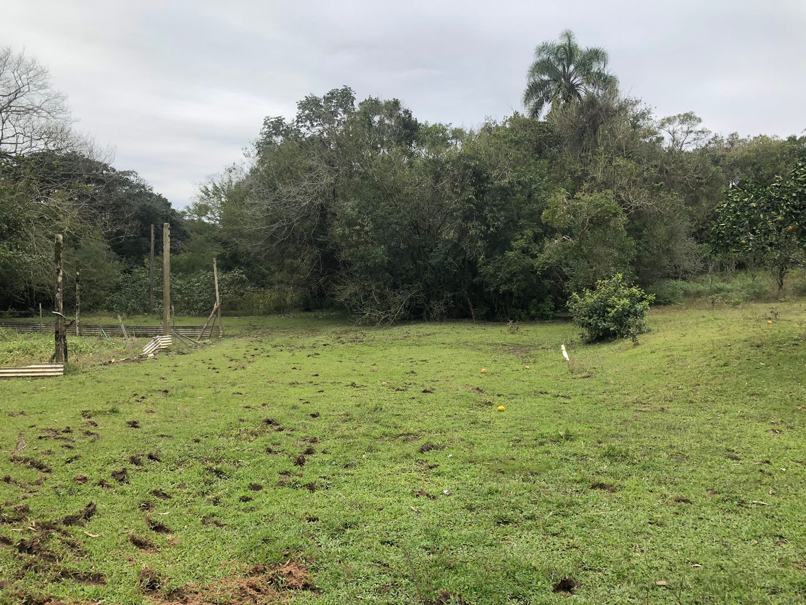 Sítio à venda com 1 quarto, 121672m² - Foto 2