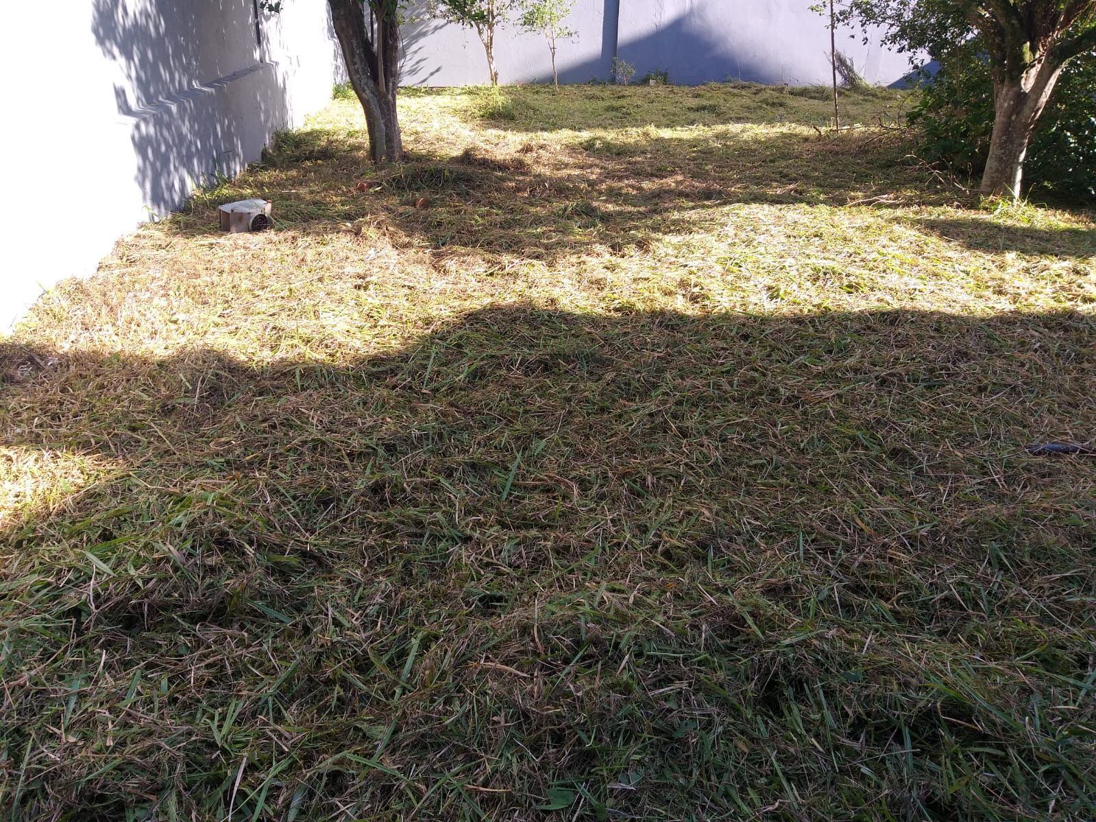 Casa, 3 quartos, 158 m² - Foto 32