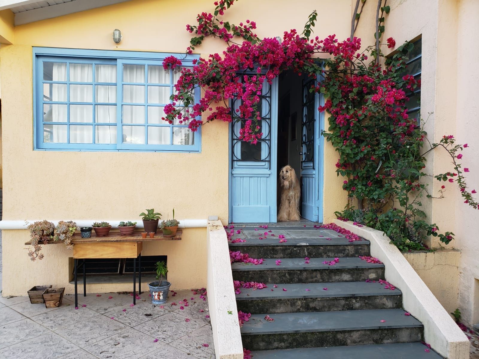 Casa à venda com 3 quartos, 240m² - Foto 2
