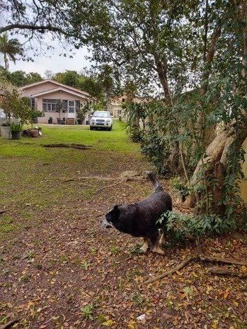 Casa, 3 quartos, 120 m² - Foto 2