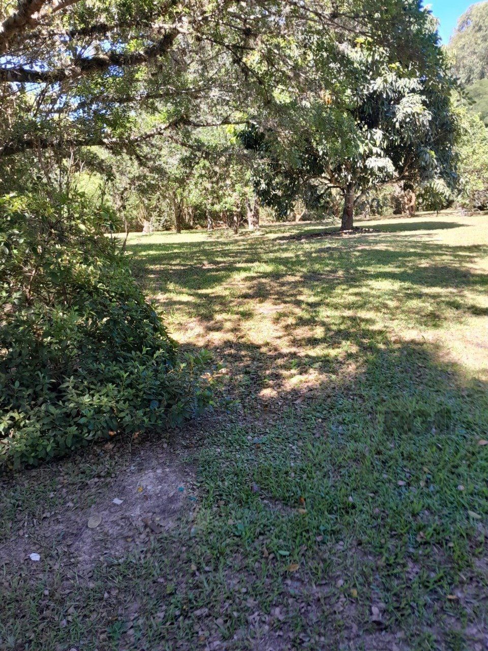 Sítio, 3 quartos, 6 hectares - Foto 28