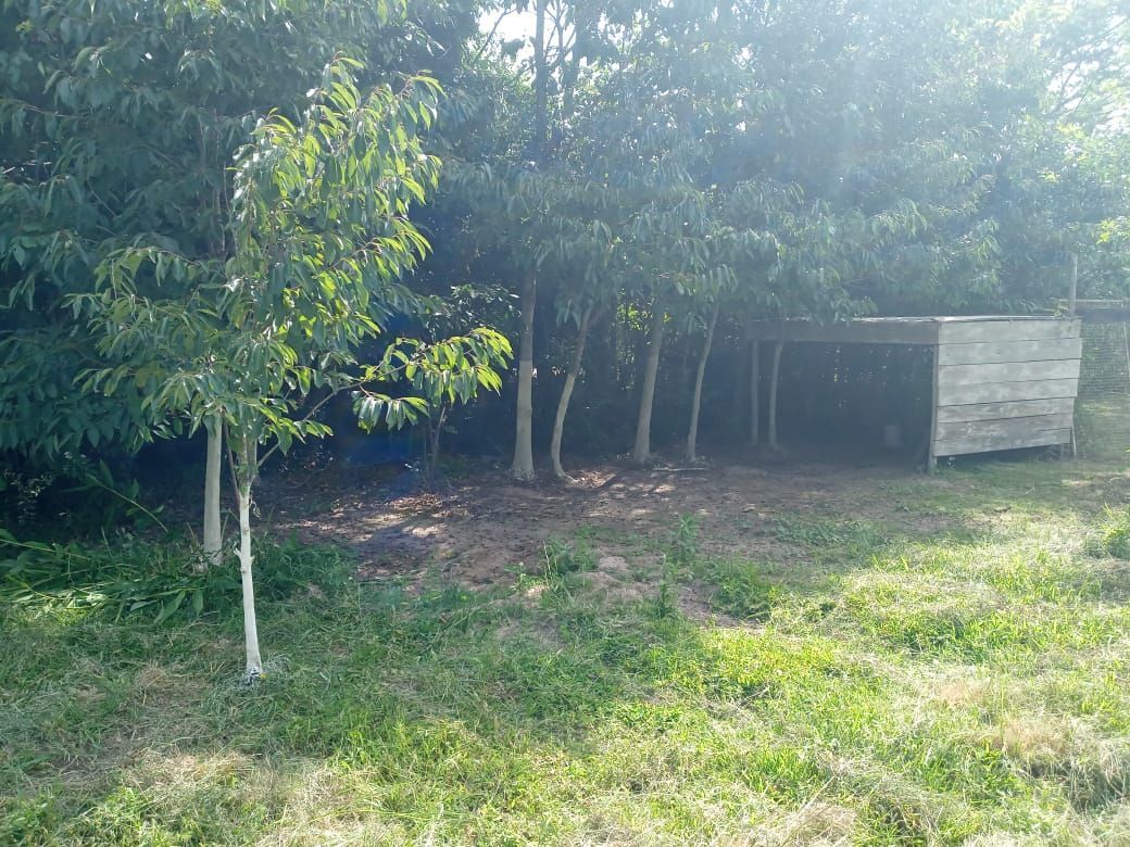 Chácara, 4 quartos, 1000 m² - Foto 36