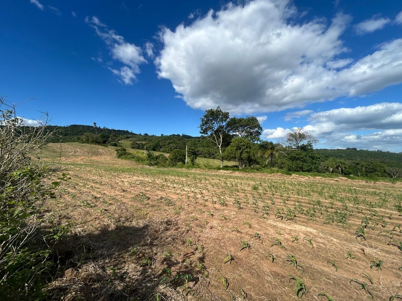 Terreno, 29 hectares - Foto 12