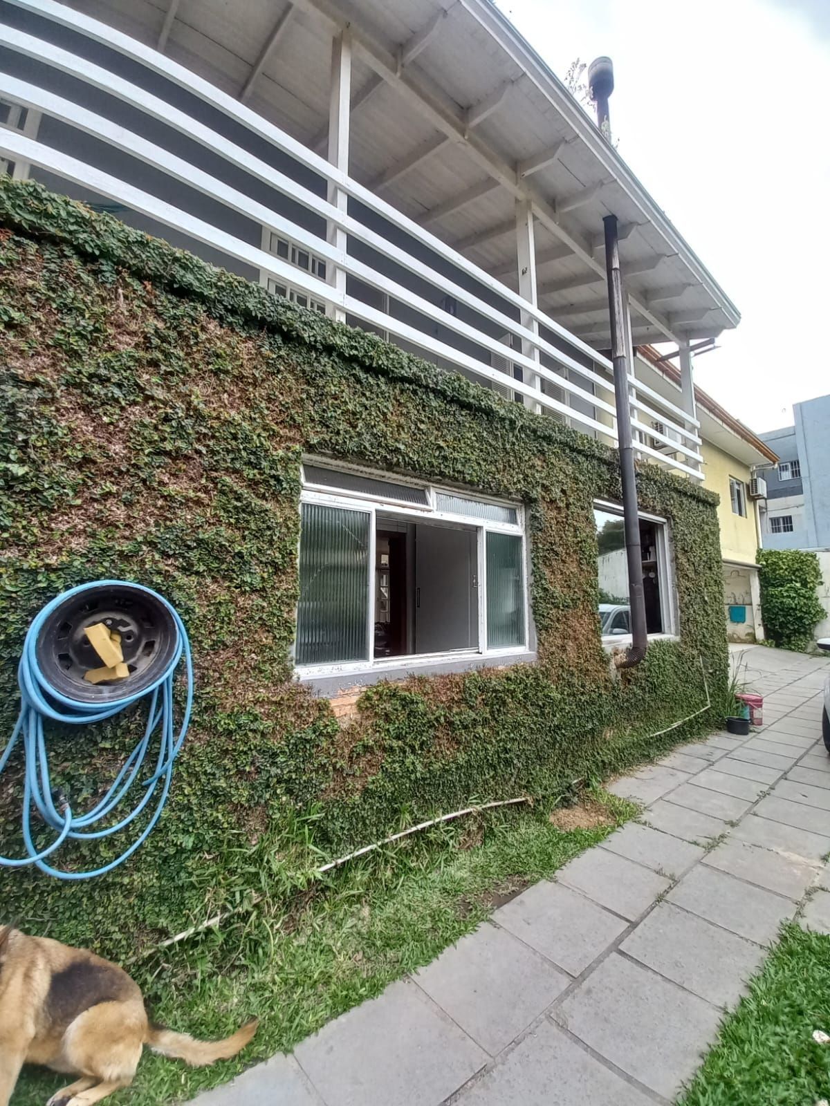 Casa, 6 quartos, 350 m² - Foto 12