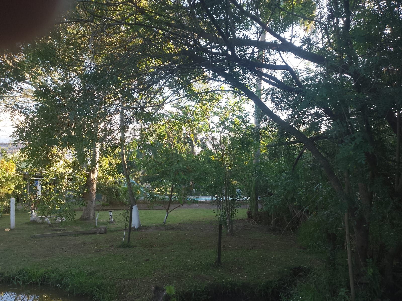 Chácara, 4 quartos, 1000 m² - Foto 46