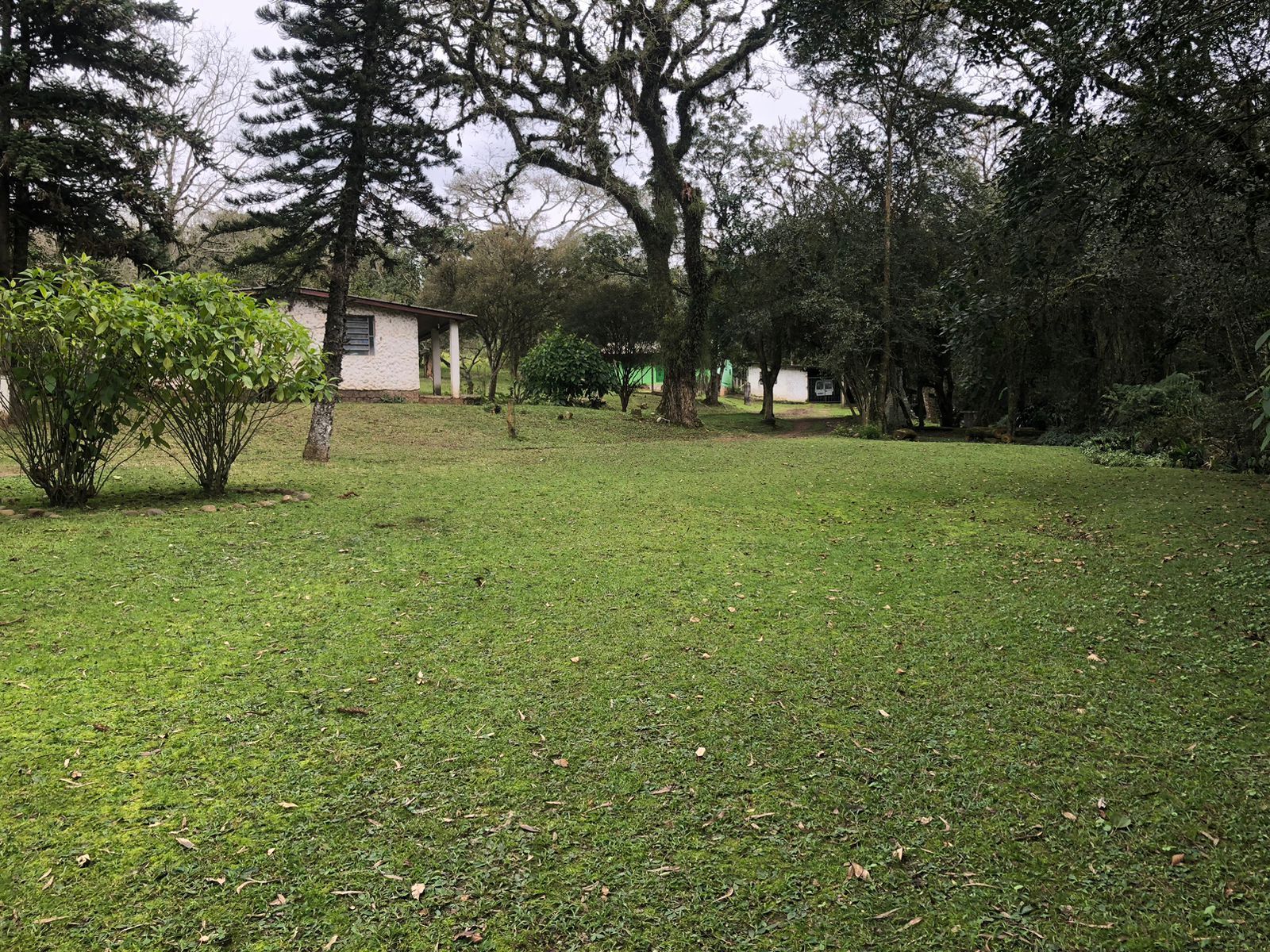 Sítio à venda com 1 quarto, 121672m² - Foto 6