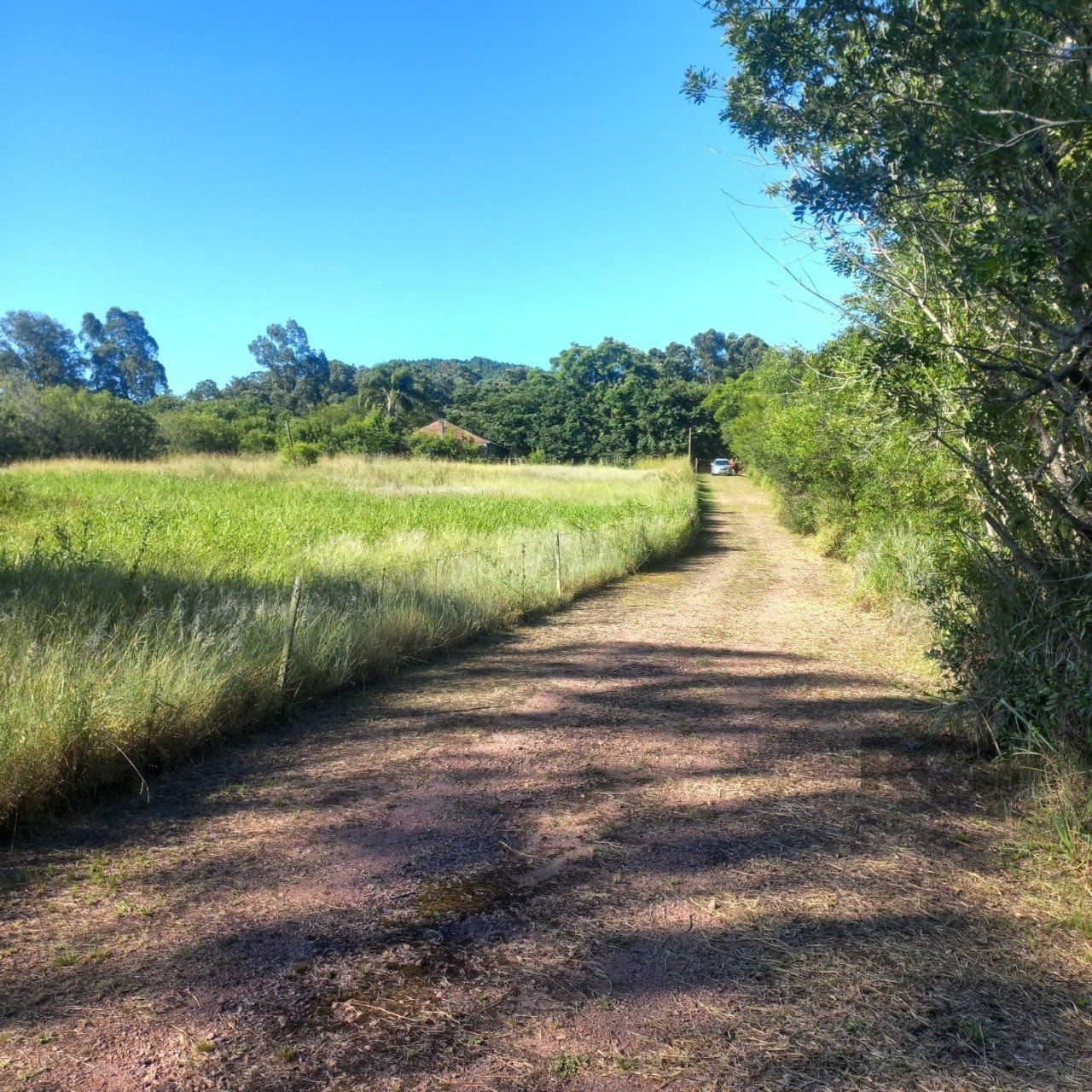 Sítio, 3 quartos, 6 hectares - Foto 2