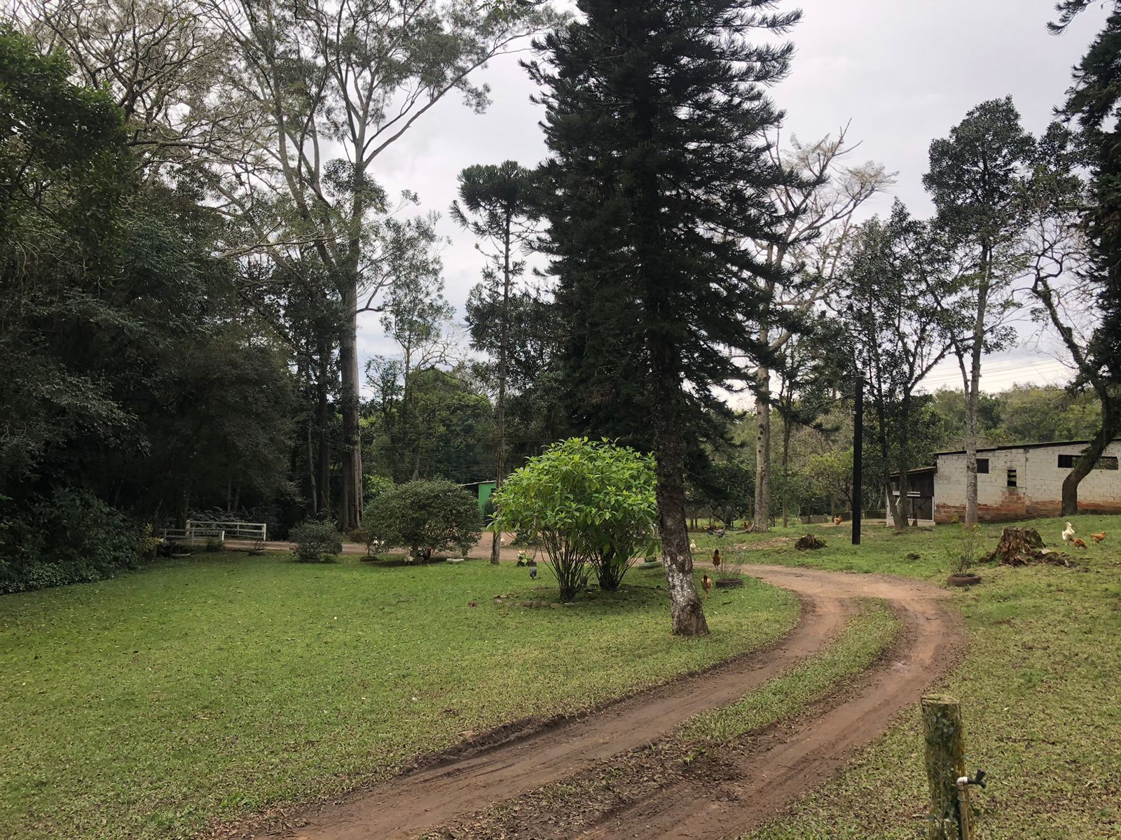 Sítio à venda com 1 quarto, 121672m² - Foto 5